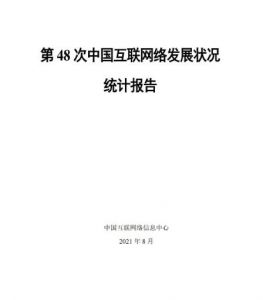 中國互聯網絡發展狀況統計報告