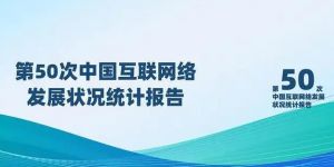 中國互聯(lián)網(wǎng)絡(luò)發(fā)展狀況統(tǒng)計報告