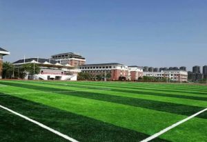 宿遷市鐘吾國際學校