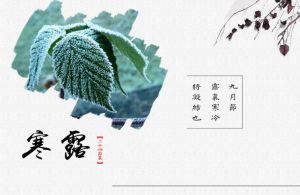 寒露節氣
