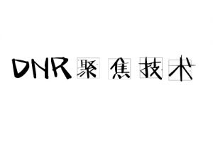 DNR聚焦技術