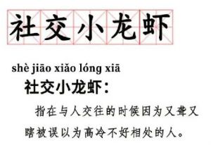 社交小龍蝦