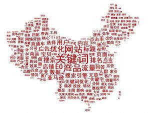 網站關鍵詞快排