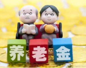 個(gè)人養(yǎng)老金實(shí)施辦法