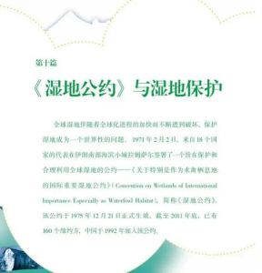 濕地公約