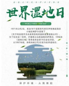 濕地公約