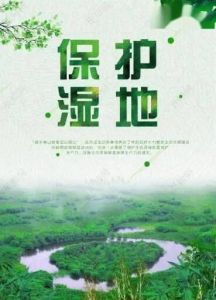 濕地公約