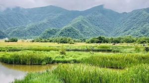 神農(nóng)架大九湖國家濕地公園