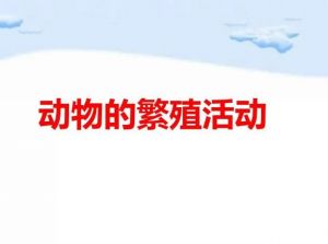 動(dòng)物在繁殖