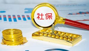 社會保險(xiǎn)
