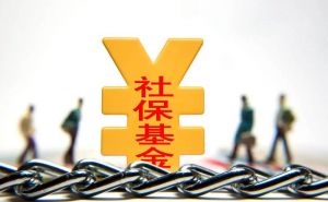 社會保險(xiǎn)