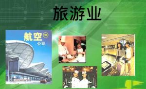 旅游業(yè)