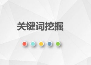 關(guān)鍵詞挖掘