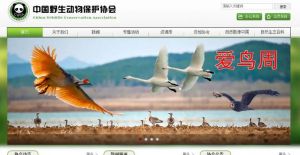 中國野生動物保護協會