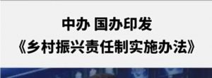 鄉(xiāng)村振興責(zé)任制實(shí)施辦法