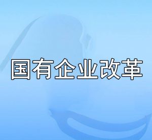 國(guó)有企業(yè)改革