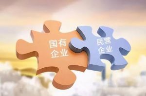 國(guó)有企業(yè)改革