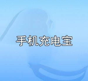 手機充電寶 手機充電寶