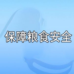 保障糧食安全