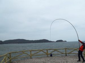 魚竿