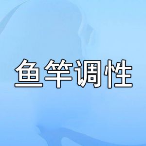 魚竿調性
