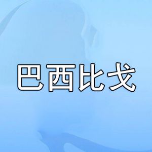 巴西比戈