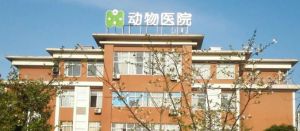 寵物醫院