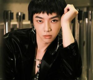 華晨宇