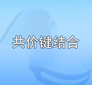共價鍵結合