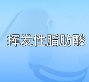 揮發性脂肪酸