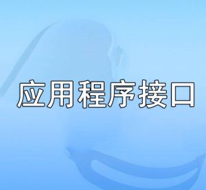 應用程序接口