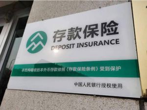 存款保險制度