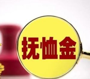 撫恤金