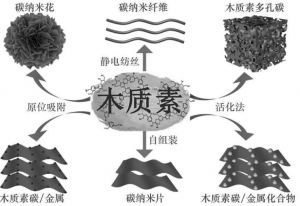 木質素