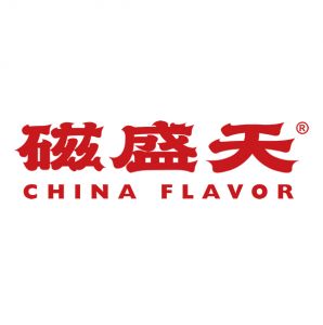 磁盛天