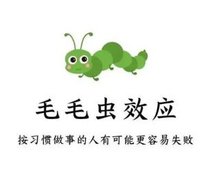 毛毛蟲效應(yīng)