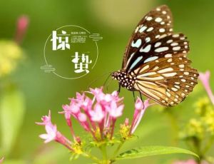 驚蟄