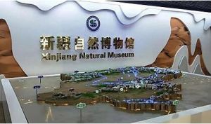 新疆自然博物館