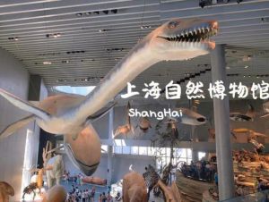 上海自然博物館