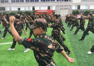 軍體拳