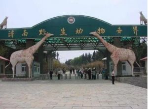 濟(jì)南動(dòng)物園