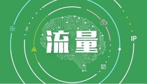 流量網絡