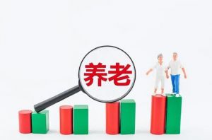 國家養老服務清單