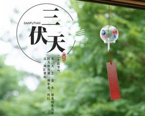 三伏天