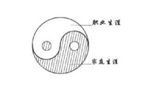 生涯太極理論