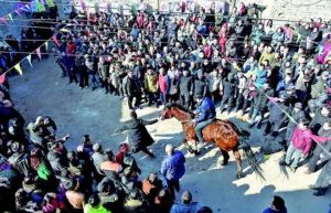 跑馬排