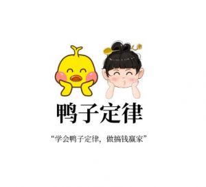 鴨子定律