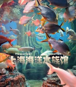 上海海洋水族館