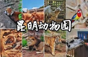 昆明動物園