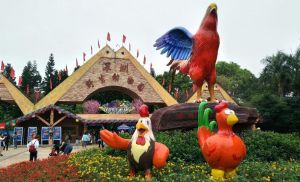 深圳野生動物園 深圳野生動物園